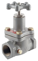 Fisher® Globe and Angle Valves
