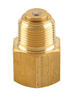 Fisher® 3/4" Outlet Connection Size Brass Back Check Valve