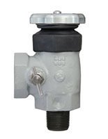 3/4" Container Connection and Ductile Dial Size Combination Valve