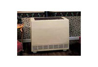 50,000 btu Closed Front Heater