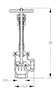 Extended Bonnet Cryogenic Globe Valves (Angle Globe Valve)